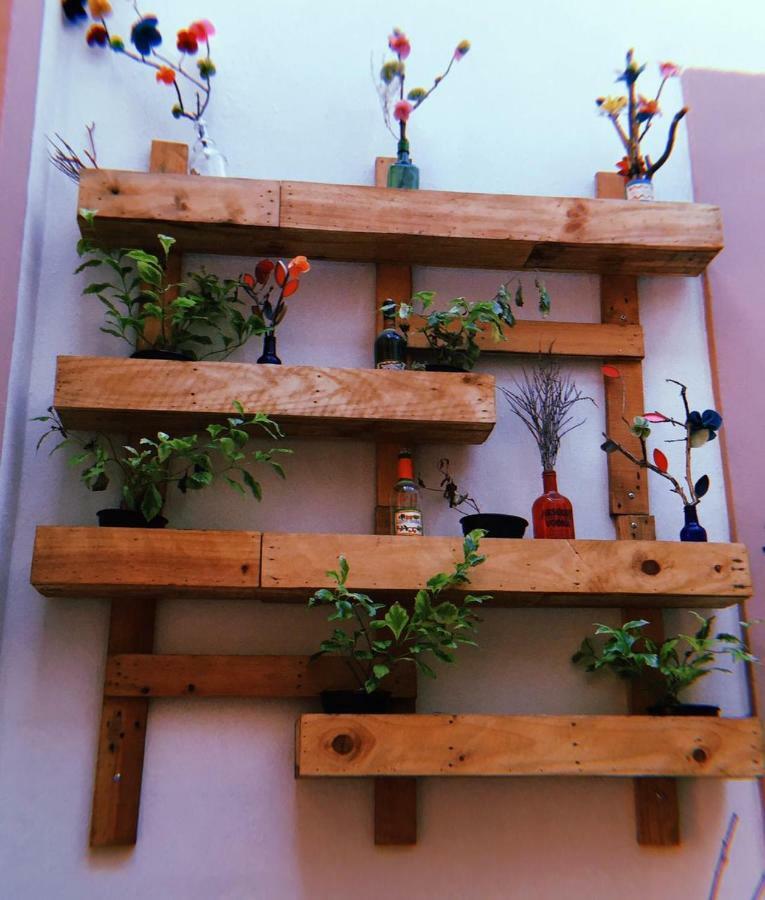 Maria Bonita Hostel Гуадалахара Екстериор снимка